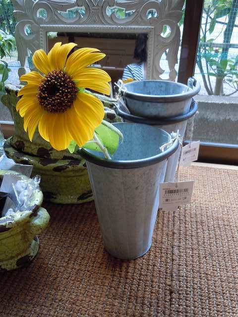 DSCN6291.jpg