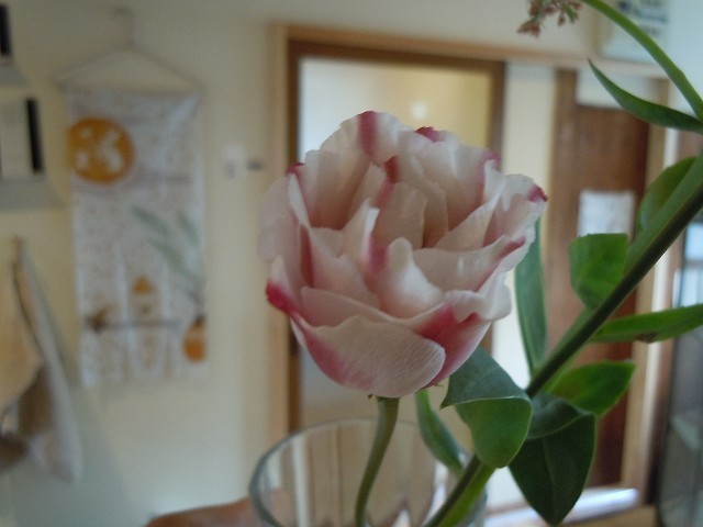 DSCN6347.jpg