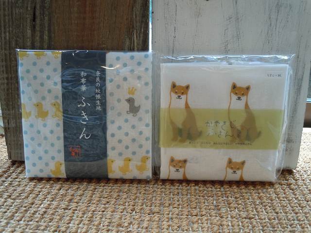 DSCN6381.jpg