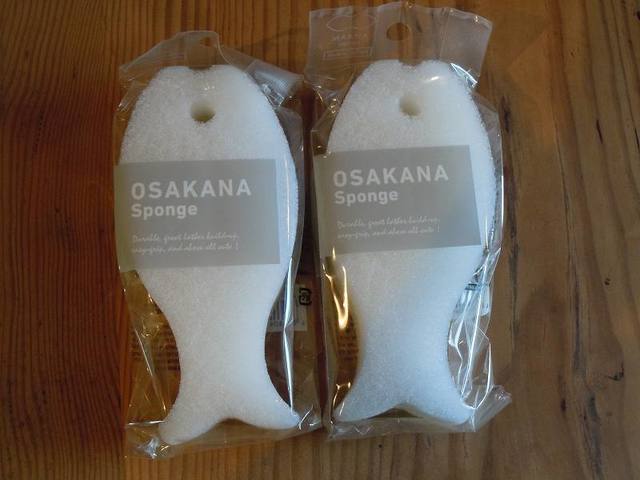 DSCN6566.jpg